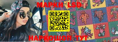 стафф Ставрополь
