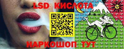 стафф Ставрополь