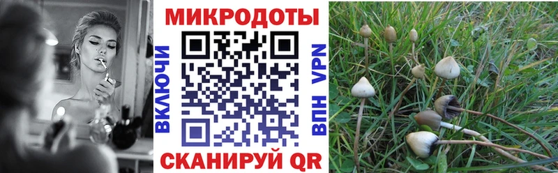 Псилоцибиновые грибы прущие грибы  Павлово 