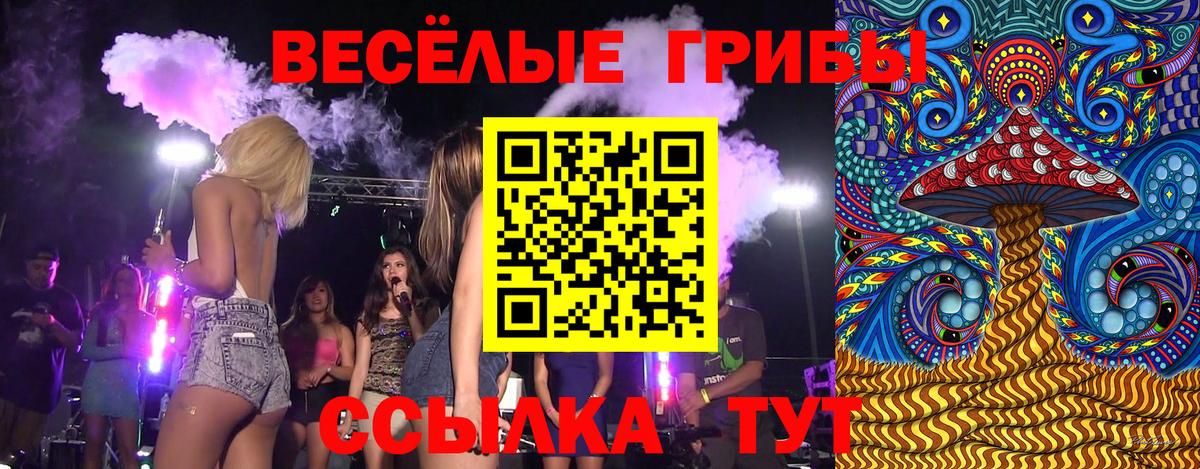 Псилоцибиновые грибы Cubensis Павлово